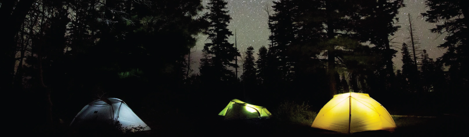 Campers with tents under the dark sky