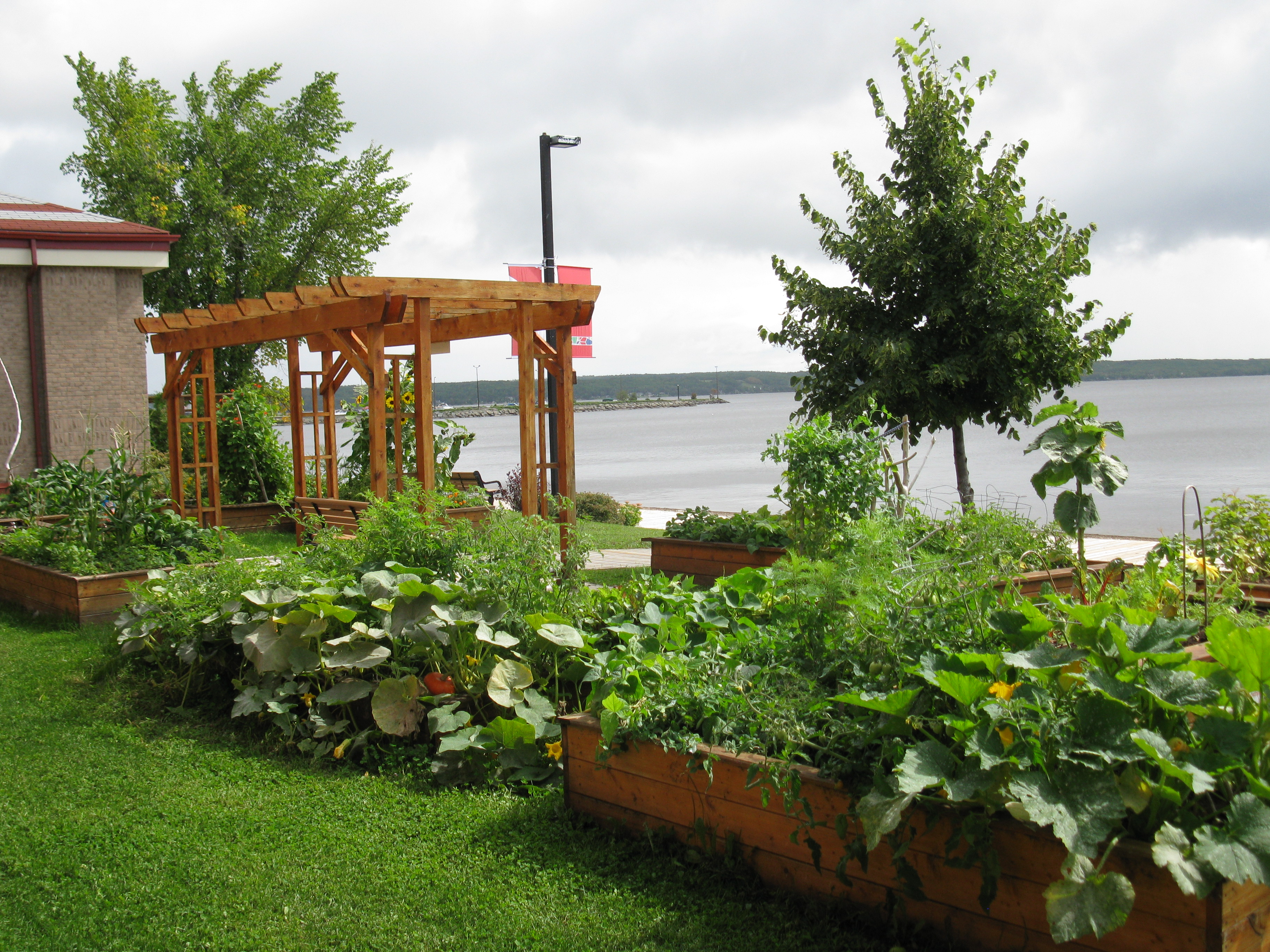 Community Garden 