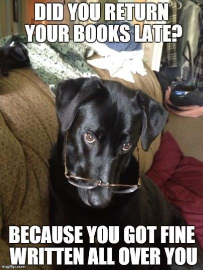 Dog with glasses and words "Did you return your books late? Because you got fine written all over you."