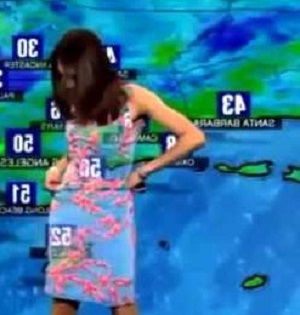 Television weather person whose clothes blend with background