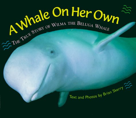 A Whale on her own