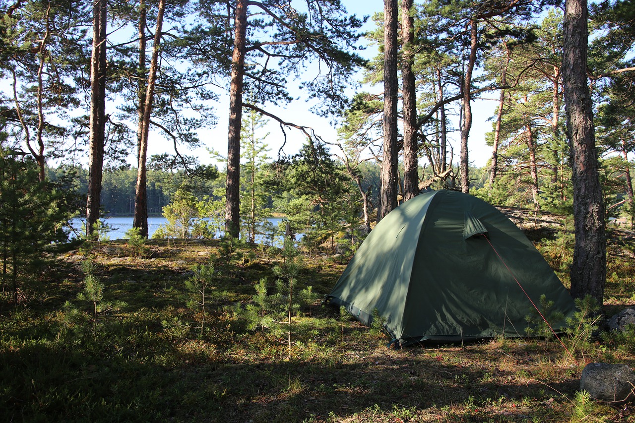 Green tent in a forest by a lake