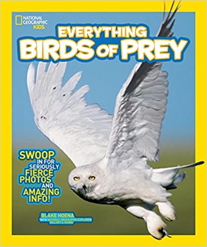 Everything Birds of Prey