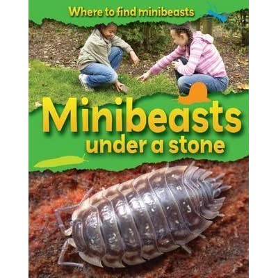 Minibeasts Under a Stone