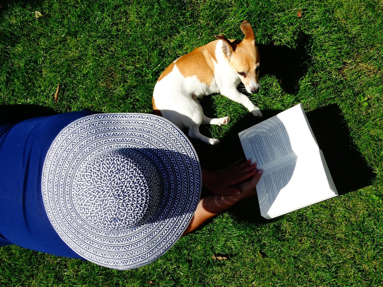 Woman in hat laying on grass reading with a dog near by