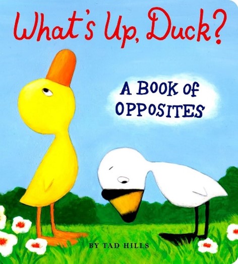 book cover for what's up duck