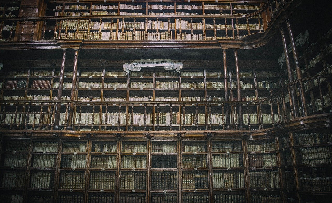 Shelves of books