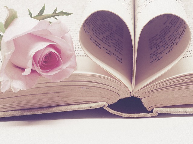 Pages of book form a heart and pink rose sits beside it.