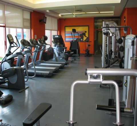 Fitness Equipment 